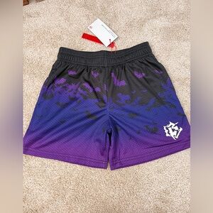 Baseball Lifestyle 101 shorts